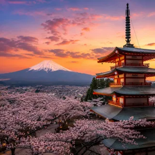 Mount Fuji at sunset framed by cherry blossoms and a pagoda