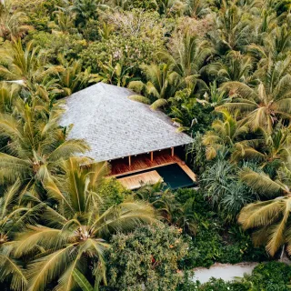 Aerial view of a thatched villa amid palms