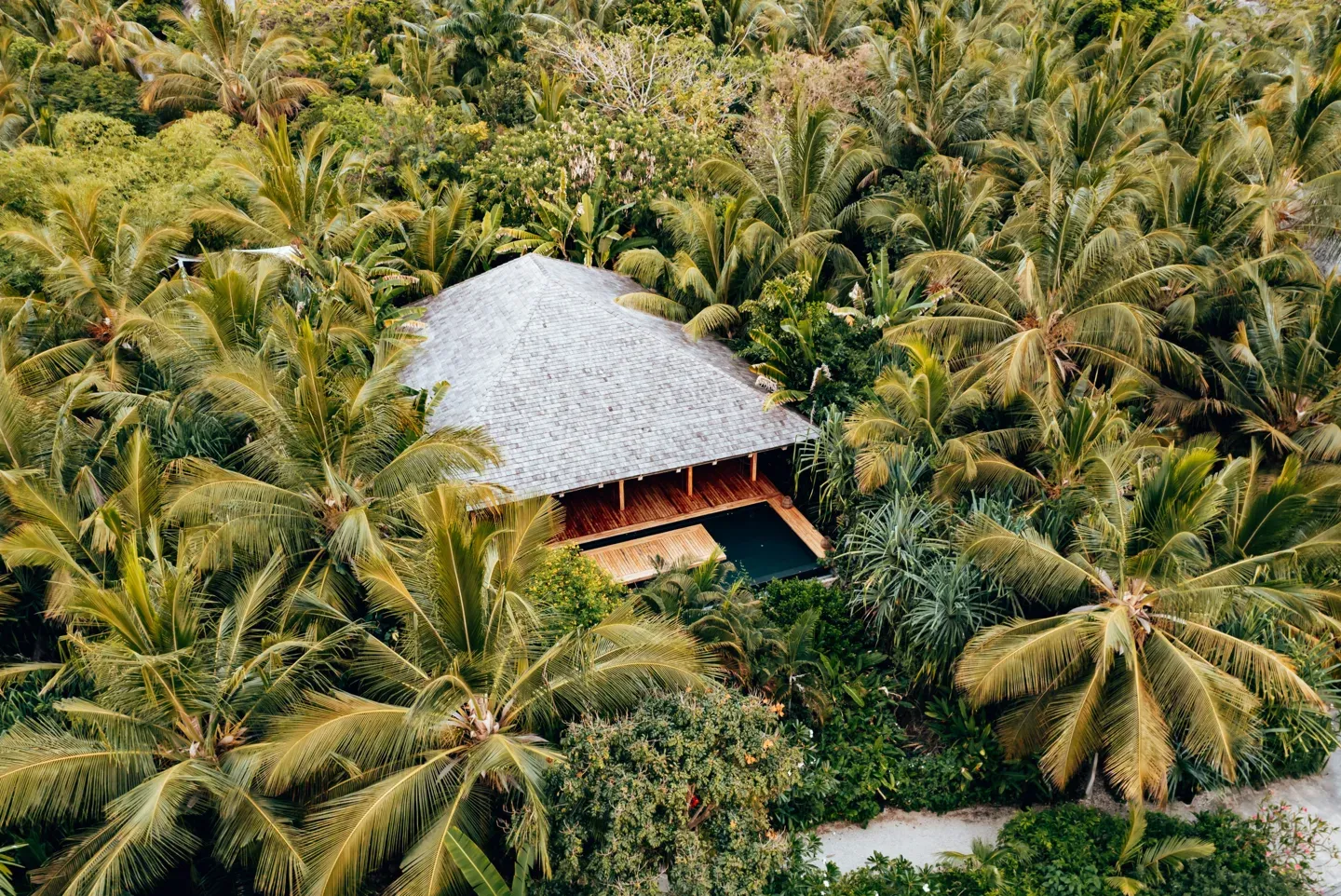 Aerial view of a thatched villa amid palms