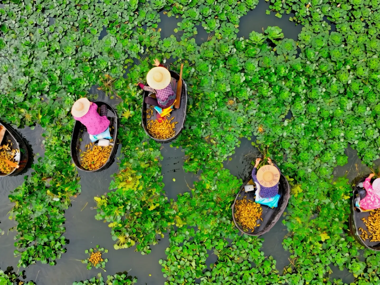 Aerial of an ancient hilltop village, UN Tourism Best Tourism Villages