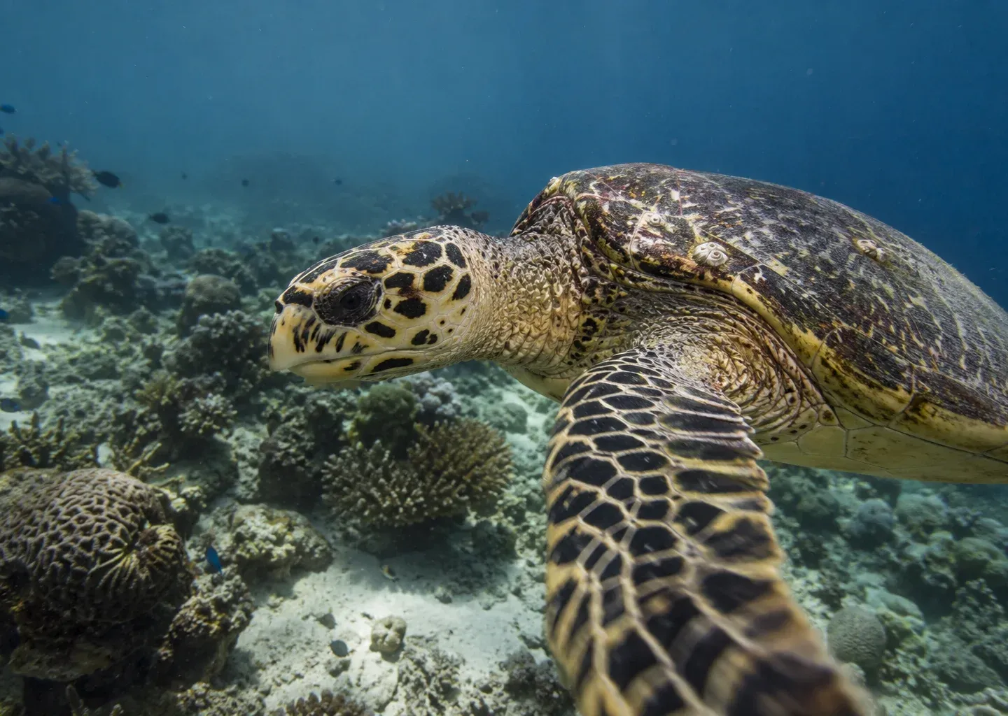 Seychelles Tourism Board