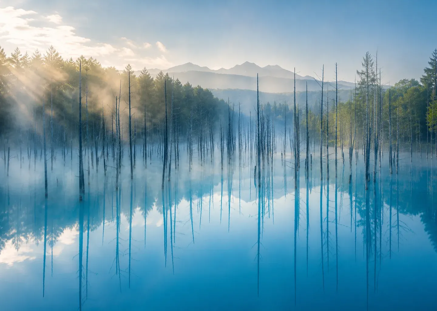 Hokkaido, Japan National Tourism Organization