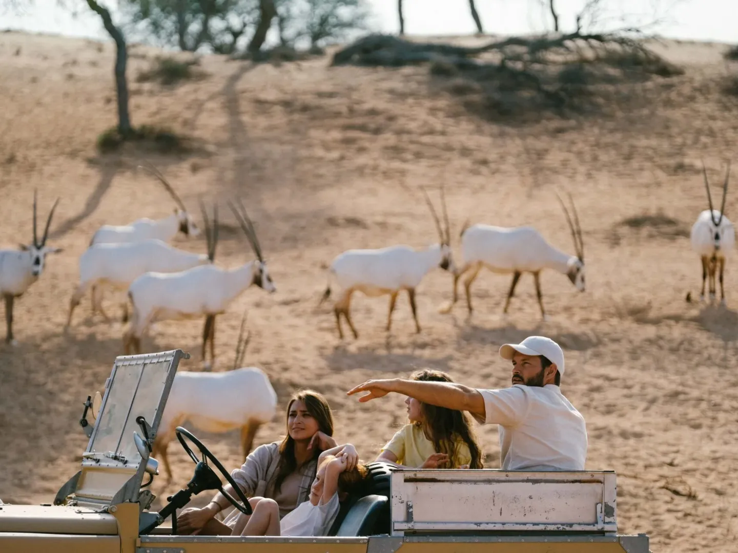 1484 by Puro, Ras Al Khaimah