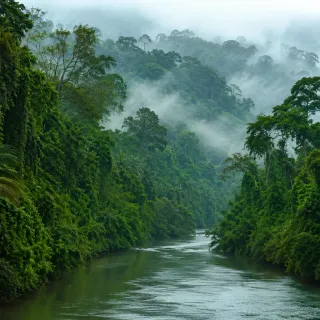 Mist drifting over a tropical rainforest river at dawn