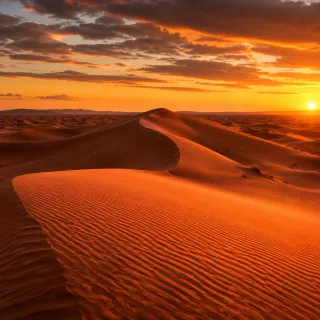 Footprints crossing Sahara dunes at sunset
